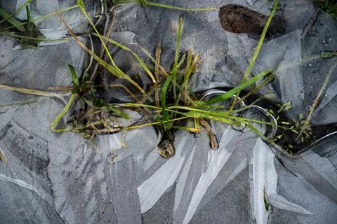 Background and Texture Stock Photos