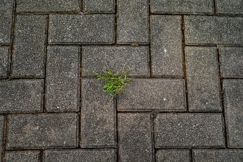 Background and texture Stock Photos