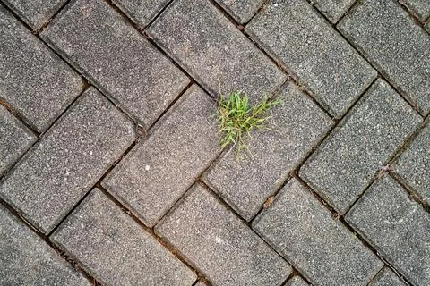 Background and texture Stock Photos