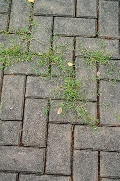 Background and texture Stock Photos