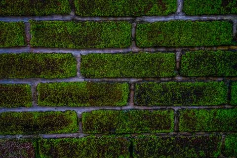 Background and texture Stock Photos