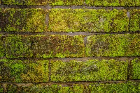 Background and texture Stock Photos