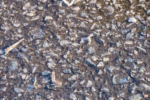 Background and texture of the road surface is made of asphalt and small stones. Stock Photos