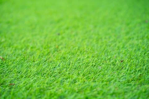 Background and texture, top view of Artificial grass texture as background Stock Photos