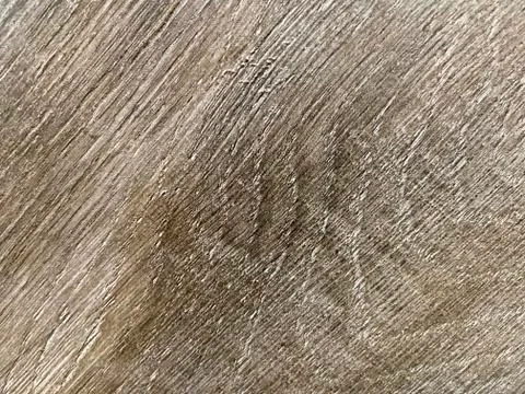 Background and texture of the tree, photo on mobile. A close-up. Underlay. Stock Photos