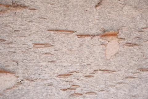 Background and texture of wall Stock Photos