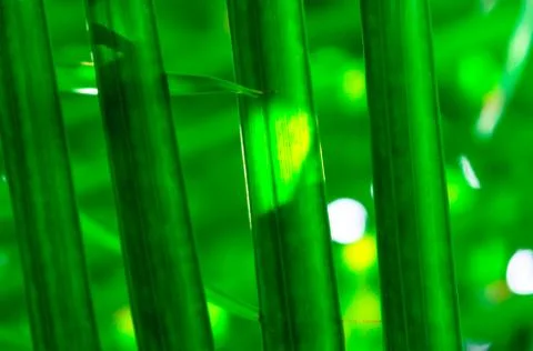 Background and textures Stock Photos