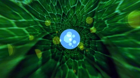 Background Animated Fantasy Stock Footage 109065042