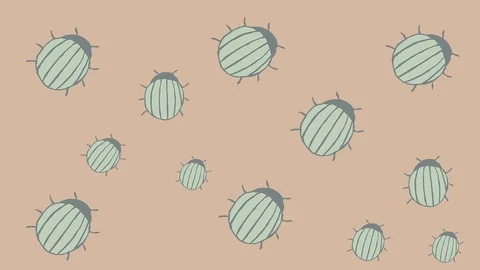 Background with animated green bugs. hand drawn insects Stock Footage 116747478