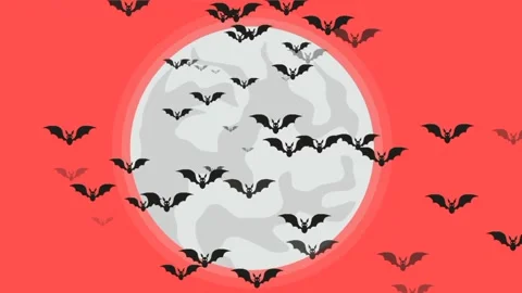 Background animation of bats flying on a full moon Stock Footage 240383550