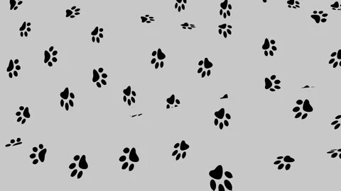 Background animation of cloth with a pattern of paw prints. Stock Footage 97990771
