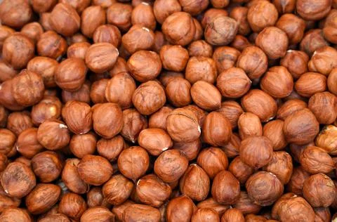 Background of appetizing peeled hazelnuts Stock Photos