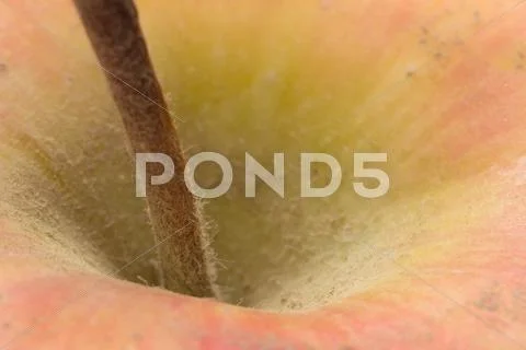 Background of the apple. macro Stock Photos
