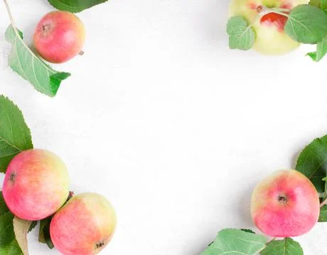Background with apples on white Stock-Fotos