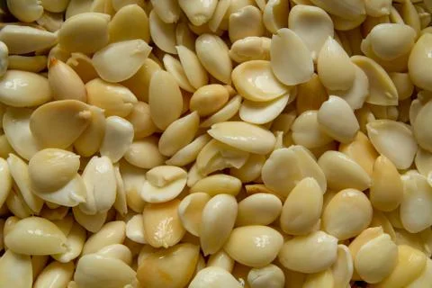 Background from apricot pits 写真素材