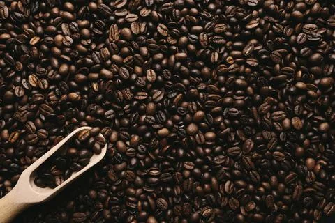 Background with array of dry coffee beans and spoon Stock Photos