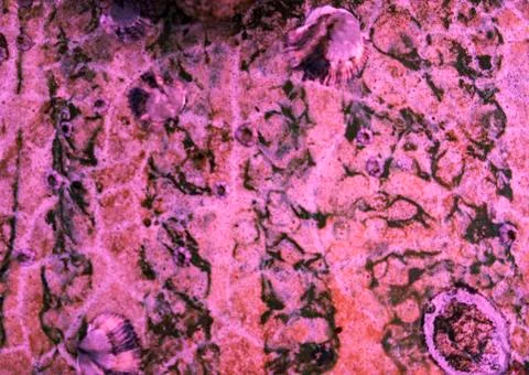 Background for art projects. Stock Photos