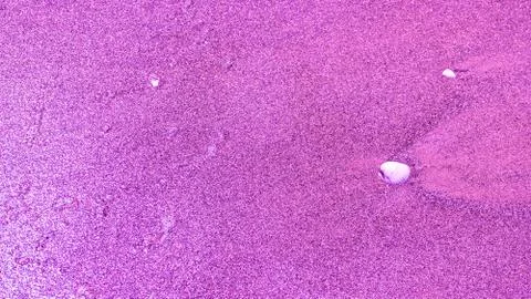 Background for art projects. Stock Photos