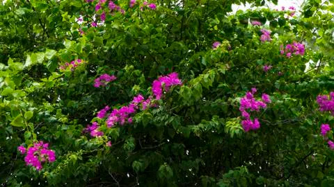 Background for art projects. Stock Photos