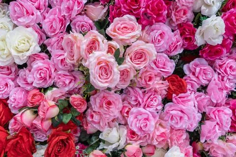 Background of artificial roses of different colors, pink reds white roses Stock Photos