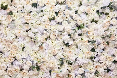 Background of artificial roses. Many artificial white roses, flower as backgr Stock Photos