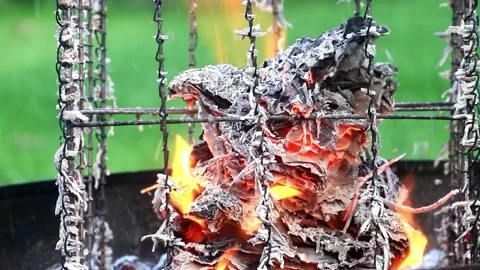 Background ash from burning, lampshade Stock Footage 221494273