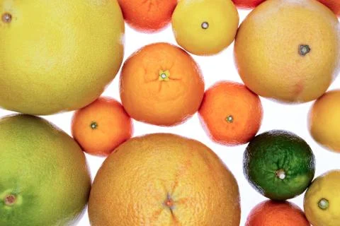 Background of assorted citrus fruit on white Foto stock
