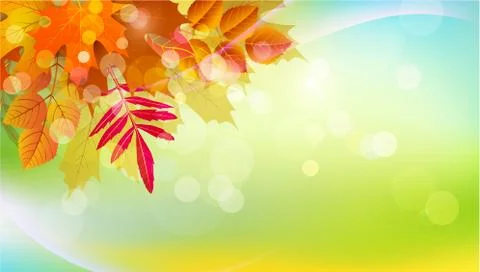  background with autumn leaves. Element for the design , advertising,  Stock Illustration