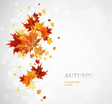 Background with autumn leaves Stock Illustration