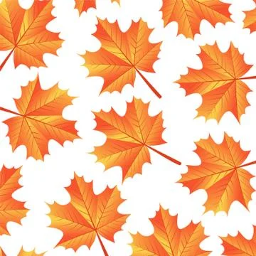 Background autumn maple leaves Stock Illustration