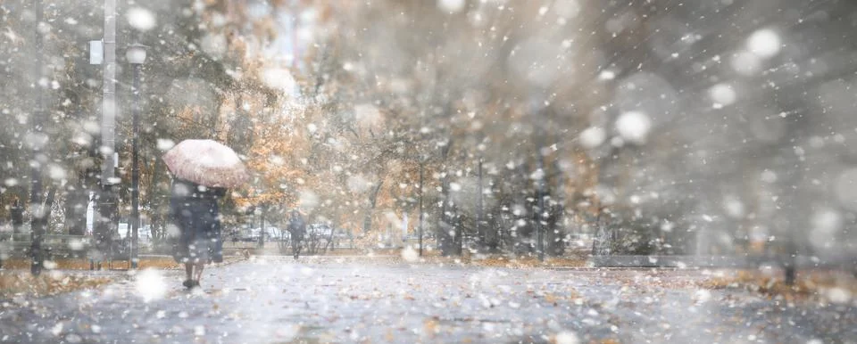 Background autumn park in the first snow Stockfoto's