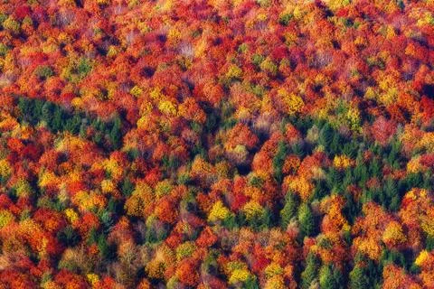 Background of autumn texture pattern Stock Photos