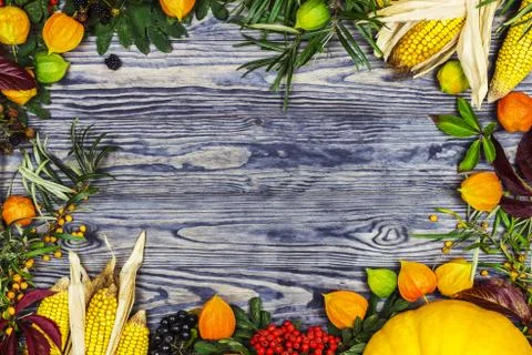 Background on an autumn theme Stock Photos