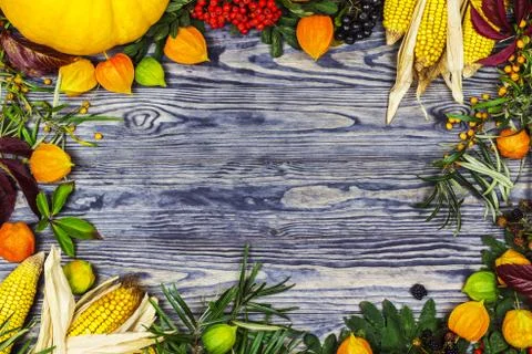 Background on an autumn theme Stock Photos