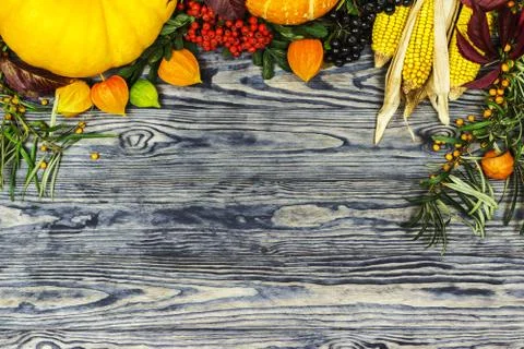 Background on an autumn theme Stock Photos
