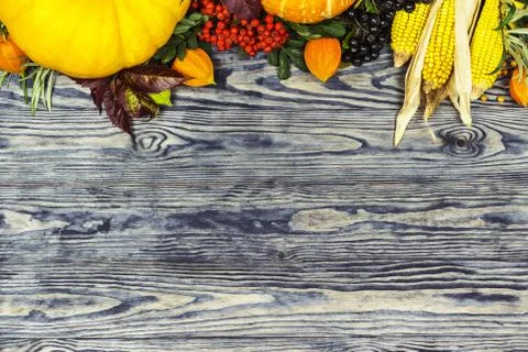 Background on an autumn theme Stock Photos