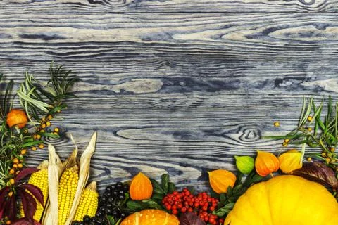 Background on an autumn theme Stock Photos