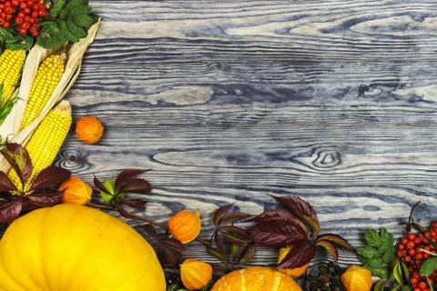 Background on an autumn theme Stock Photos