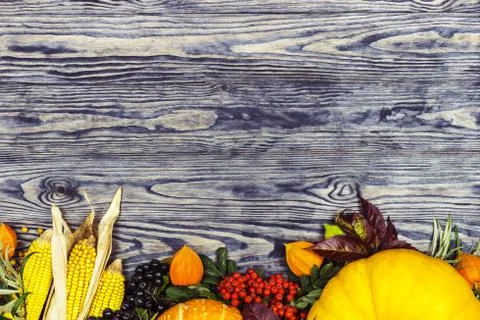 Background on an autumn theme Stock Photos