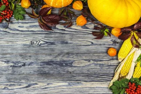 Background on an autumn theme Stock Photos