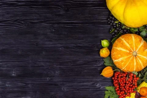 Background on an autumn theme Stock Photos