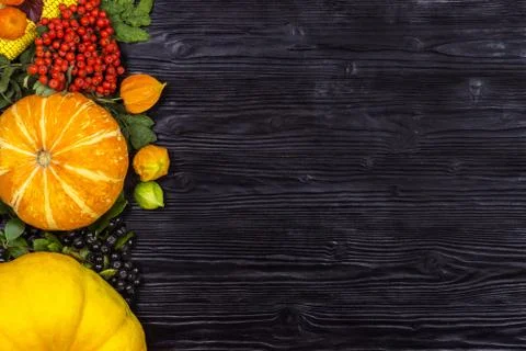 Background on an autumn theme Stock Photos