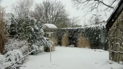 Background from a back garden in the snow Video stock 151094058