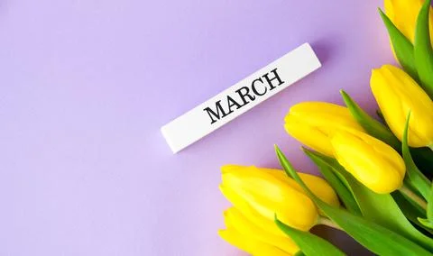 Background for banners. Flatlay. Spring concept. object for decoration for wo Stock Photos