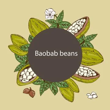 Background with baobab beans and round frame Stock Illustration