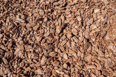 Background of bark mulch Stock Photos