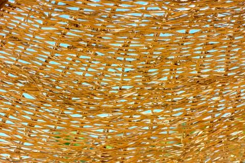 Background of the bark of a palm tree. Close-up of fragments of the bark Foto stock