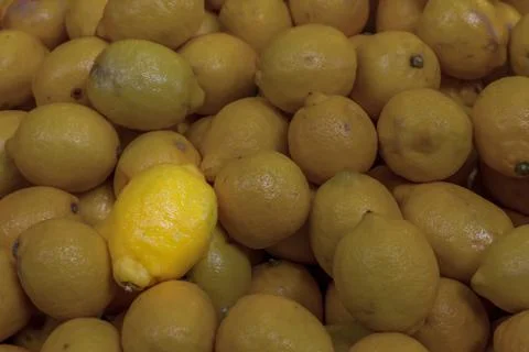 Background base contrast shadow base darkening fruit lemon highlight sun ray Stock Photos