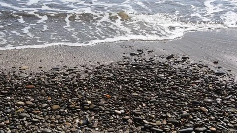 Background with a beach Stock Footage 116177312