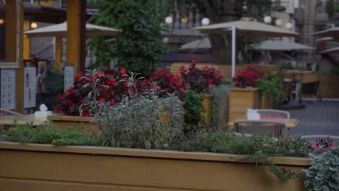 Background beautiful cozy cafe Stock Footage 139504369